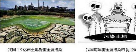 重金属污染以什么为主