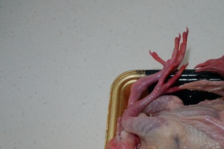 屠宰的乳鸽怎么清洗