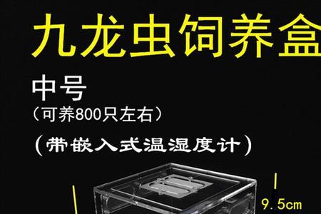 九龙虫为什么会死