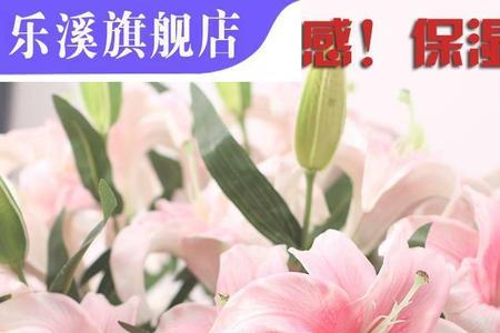 百合花的精神品质