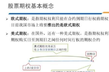 股票期权行权期是什么意思