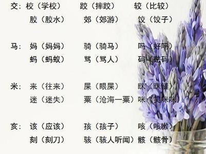 什么的整治组词
