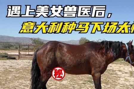 马骟了好还是不骟好