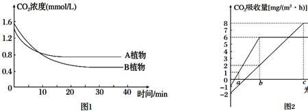mg存在于叶绿体的哪里