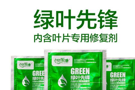 叶绿素中必须含有什么元素
