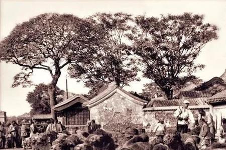 行脚商人古代叫什么