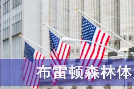 布雷顿森林体系被谁代替了