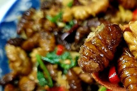 蝉蛹的菜叫什么名字