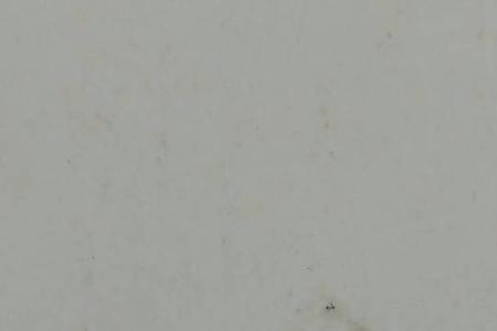 会飞的小红盖儿 虫子是什么虫子
