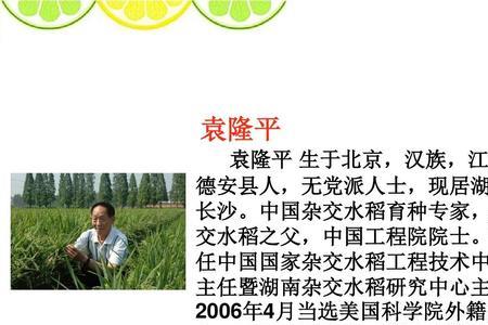 水稻之父的意思