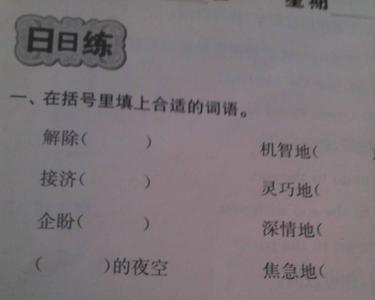 什么的服装填空