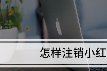 小红书注销了别人还能发信息吗