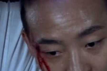 铁核桃李炜第几集死的