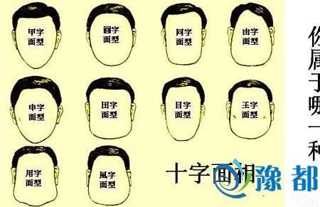 田字露头不是申甲由是什么