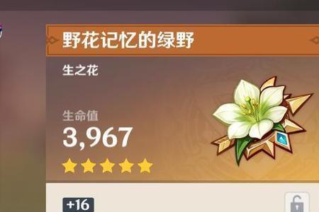 原神的字母大写