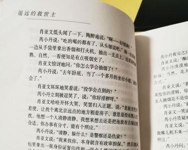 遥远的救世主经典语录在第几页