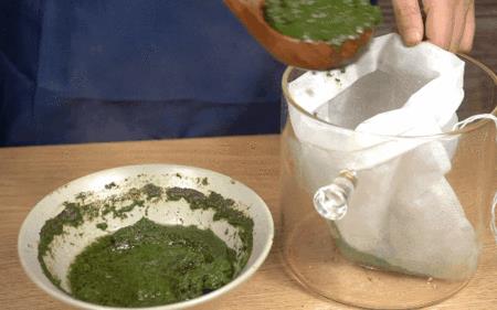 没有蜂蜡怎么做薄荷膏