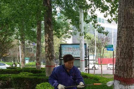 帮树刷白用什么刷又快又好