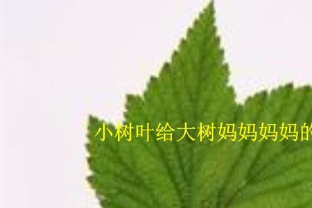 描写树叶小得像什么