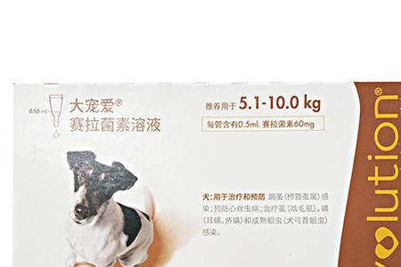妙宠爱和大宠爱的区别