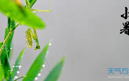小暑开鹏翼是什么意思