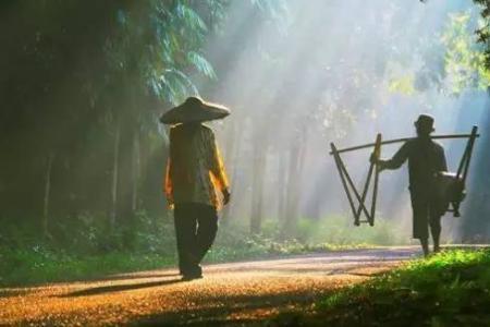 无所不求无所不有的意思