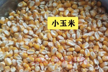 干玉米粒如何区别好坏
