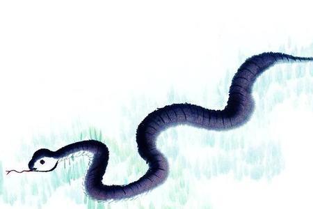 沉默属于哪个生肖