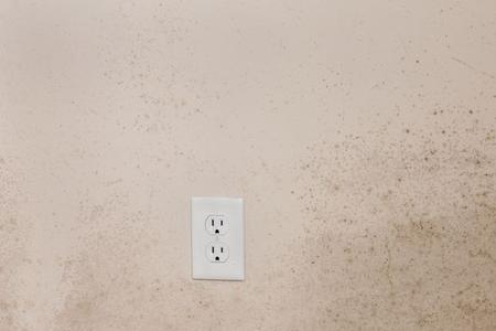 屋里潮湿发霉怎么快速解决