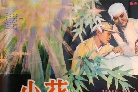 电影小花歌曲原唱