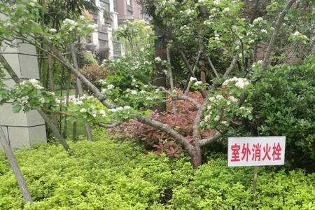 小区室外消火栓设置规范
