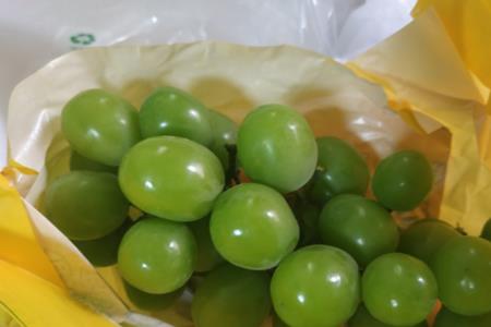 阳光玫瑰葡萄冷冻后怎么吃