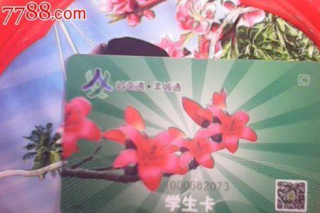 羊城通学生卡怎样激活