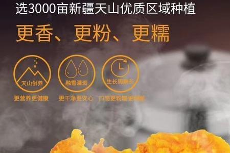南瓜粉糯是什么意思