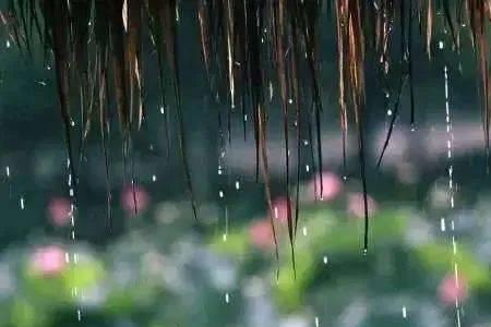 夏天的雨叫什么
