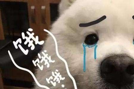 饿其筋骨的饿的意思