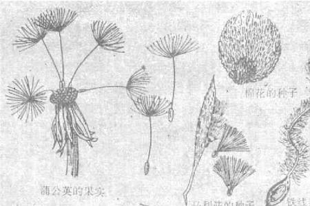果径的定义