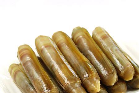 刚抓上来的新鲜海圣子怎么养
