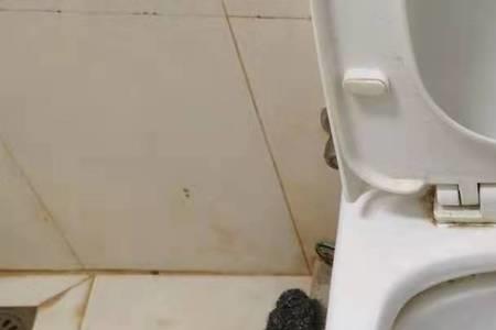 厕所堵了自己会好吗