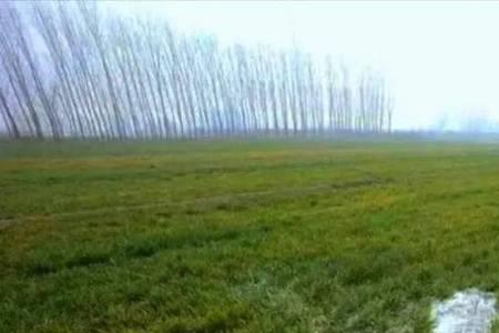 缺氧污染水能浇地吗