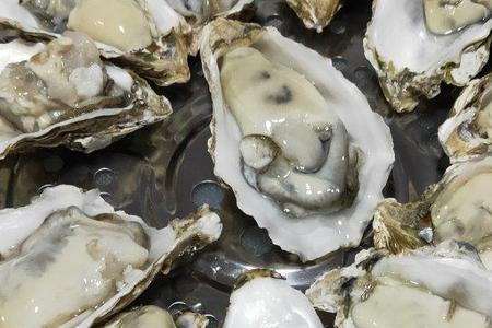 生蚝贝壳上为什么有许多小疙瘩