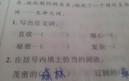 攀登反义词