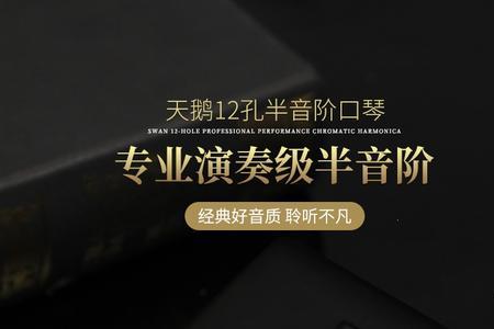 国产半音口琴哪个品牌最好