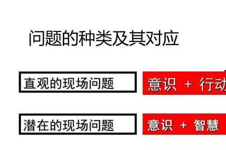 什么是精益项目