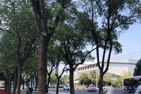 武汉为什么没有电动共享单车