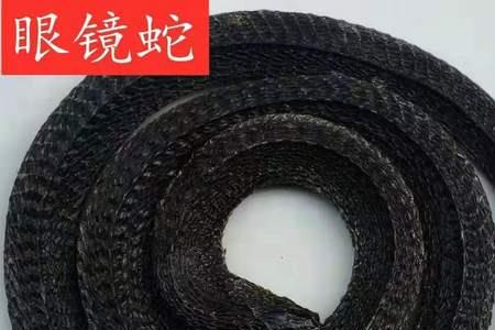 乌梢蛇和眼镜蛇的区别
