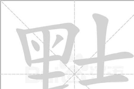 猾组词2个字