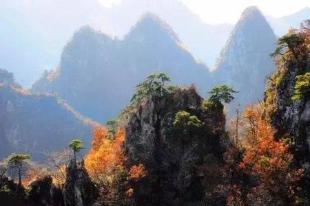 丛嶂什么意思