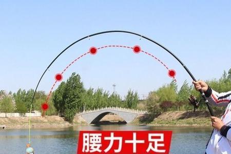 劲龙海竿能钓罗非鱼吗