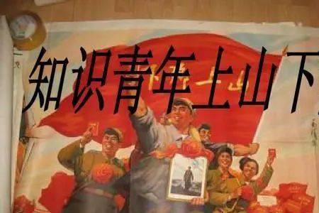 知识青年上山下乡的意义